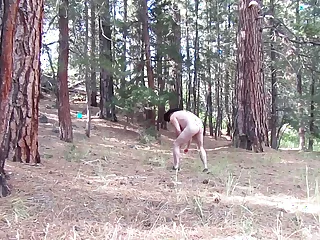 Naked gathering wood.