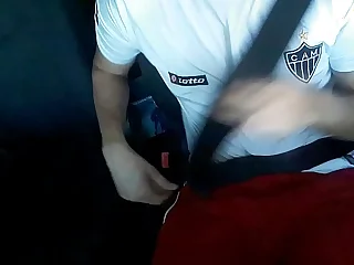 Gato atleticano. Tesão depois do treino 2